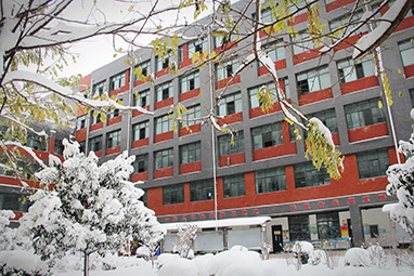 冬季校园教师外银装素裹.jpg